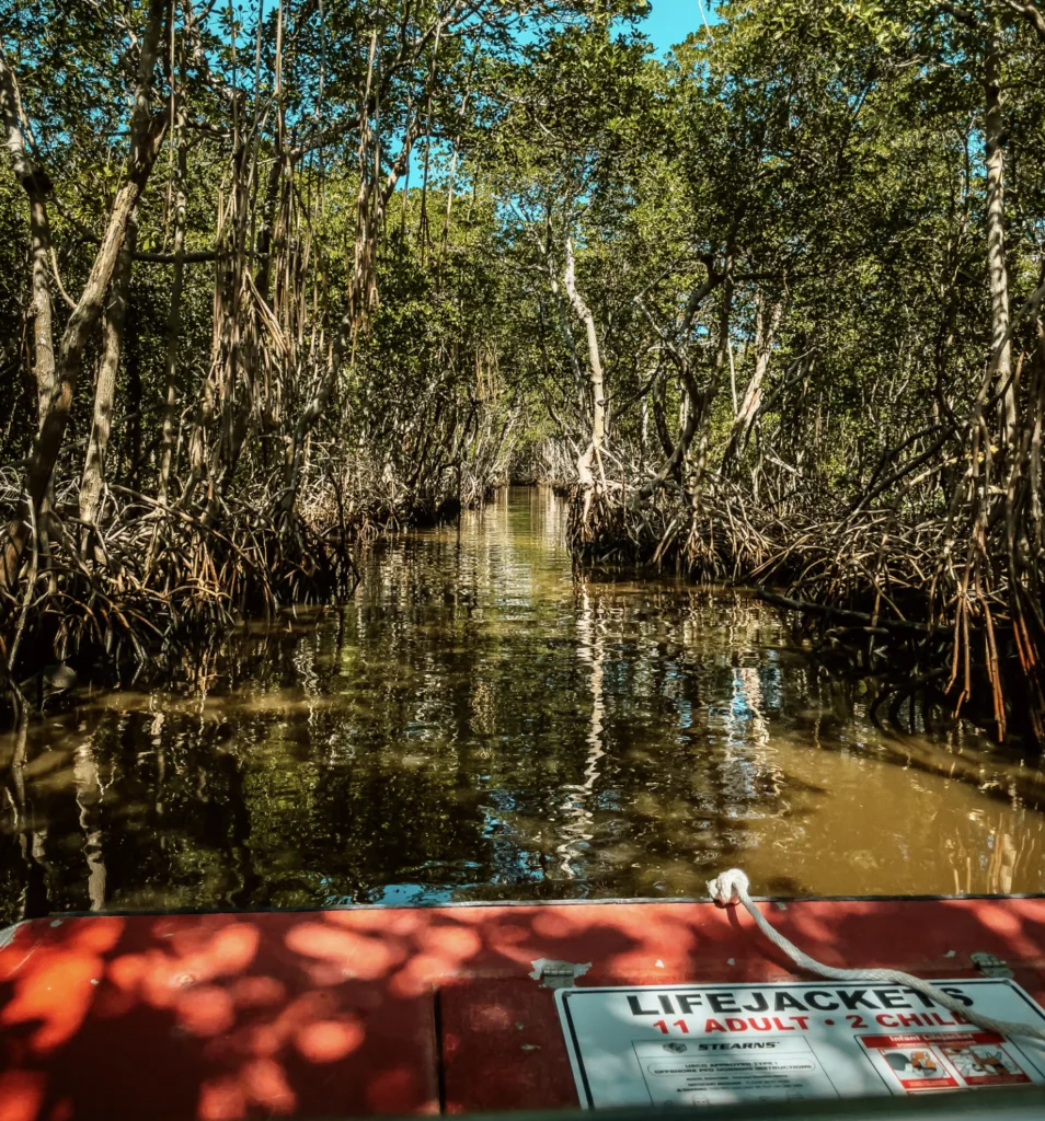 Steppenfahrt durchs Sumpfgebiet