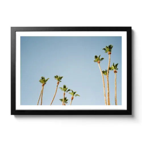 Bildaufnahmen von Palmen die in die Höhe ragen und dahinter der blaue Himmel. Vintage Look.