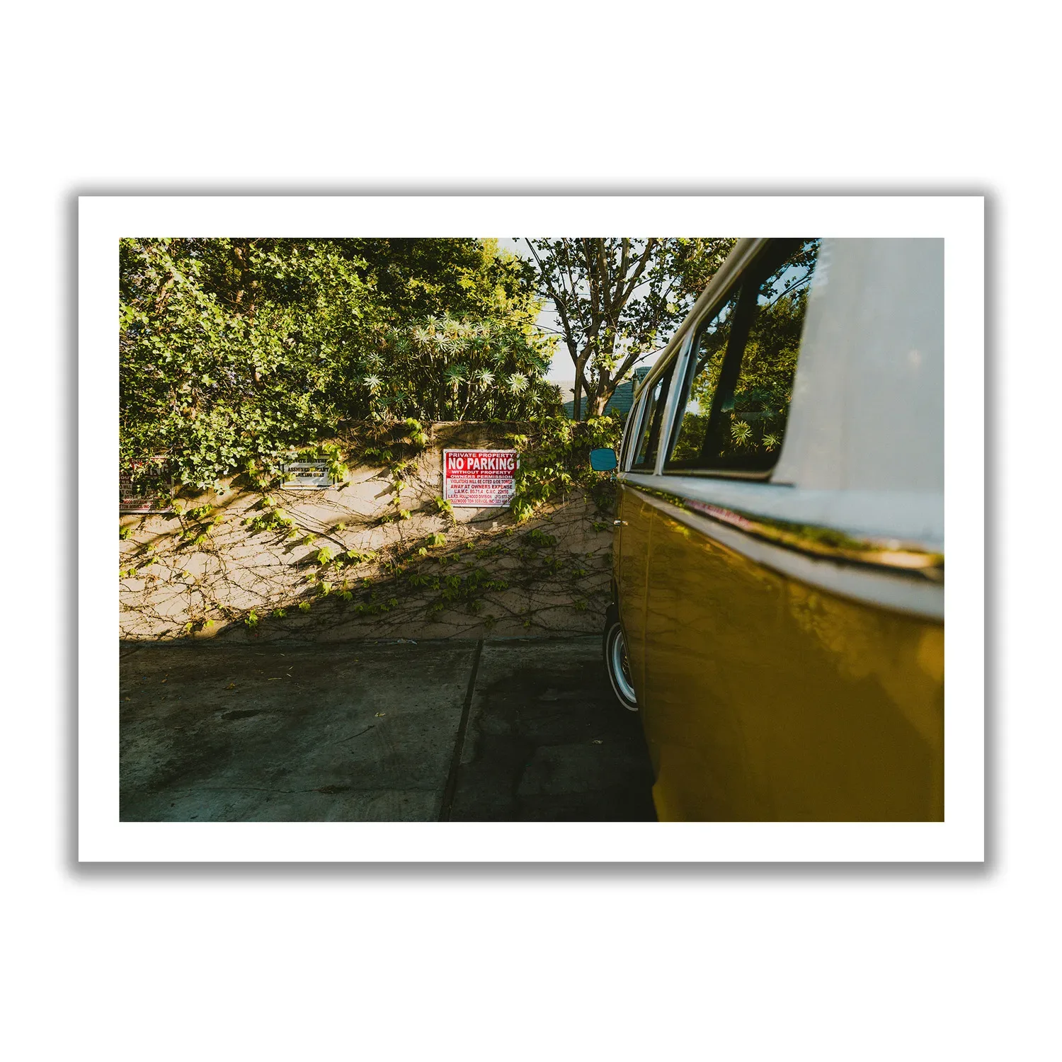 Seitenansicht eines VW Buli´s, am No Parking Parkplatz