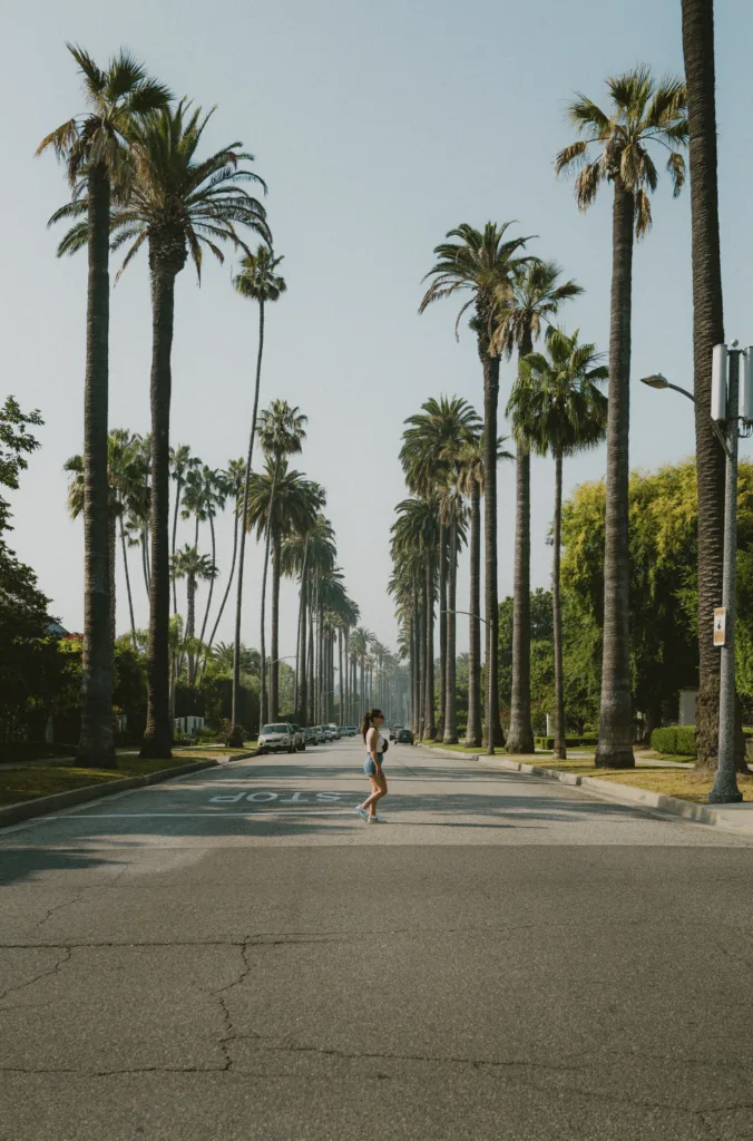 Hillcrest Road mit Palmen