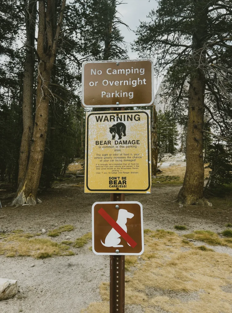 Warnschilder - Achtung Bär