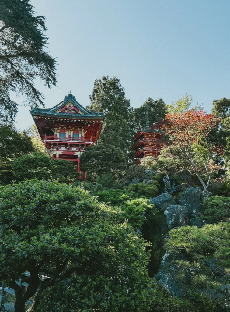 Japanese Tea Garden - San Francisco