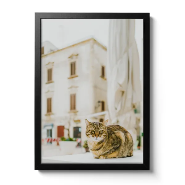 Dreamy Cat - Picture 3