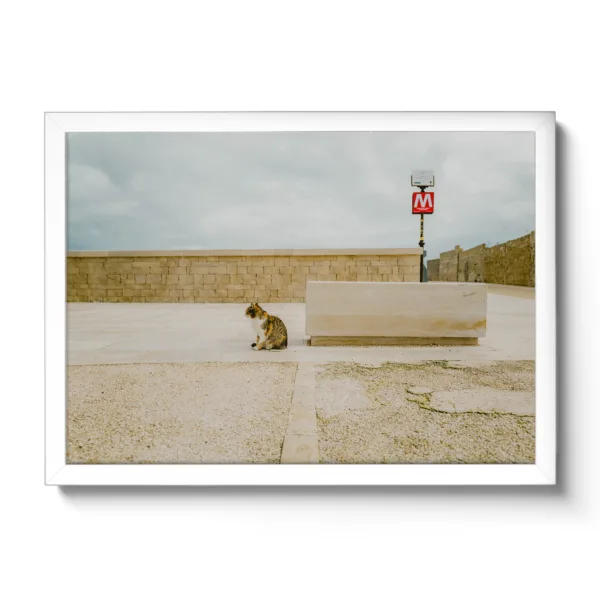 Bildaufnahme einer gestreiften Katze die in die Ferne sieht und dahinter befindet sich ein "M" Schild für Metro.