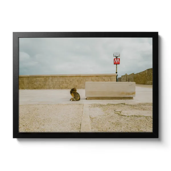 Image of a striped cat looking into the distance with an "M" sign for Metro behind it.