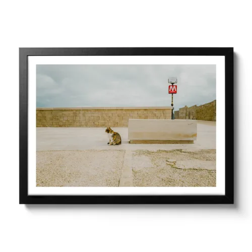 Bildaufnahme einer gestreiften Katze die in die Ferne sieht und dahinter befindet sich ein "M" Schild für Metro.