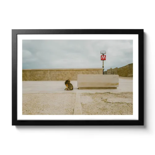 Bildaufnahme einer gestreiften Katze die in die Ferne sieht und dahinter befindet sich ein "M" Schild für Metro.